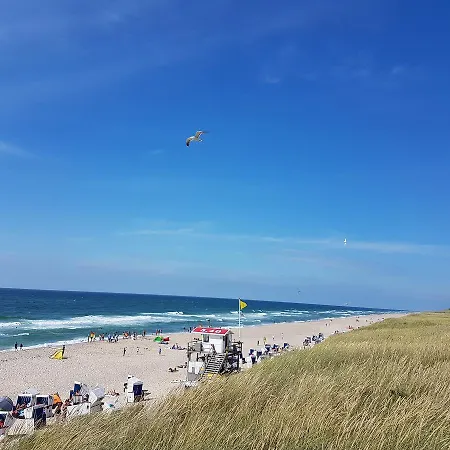 Duene Sylt
